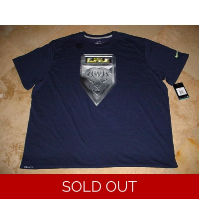 LeBron James Nike Superhero Logo Tee Blue 3XL